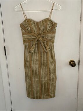 Lyndia by Lyndia Procanik beige brown striped empire waist dress front tie Sz 2